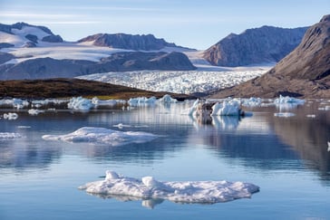 Fjord foran en brearm på Svalbard. Store sneflak flyter i vannet