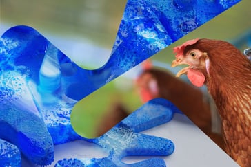 Fotomontasje som kombinerer abstrakte blå dubinsformer med et nærbilde av en høne i naturlig omgivelser.