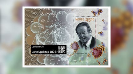 Frimerke med matematiske formler, sort-hvitt portrett av eldre mann og tegnede kuler i klustere