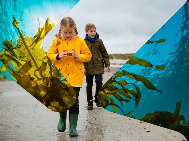 gutt og jente som går på en strand kombinert med bilde av tang i havet