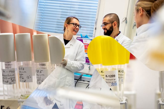 Biovitenskaplig forskning. Kombinasjon av to bilder: Reagensrør og tre forskere på laboratoriet