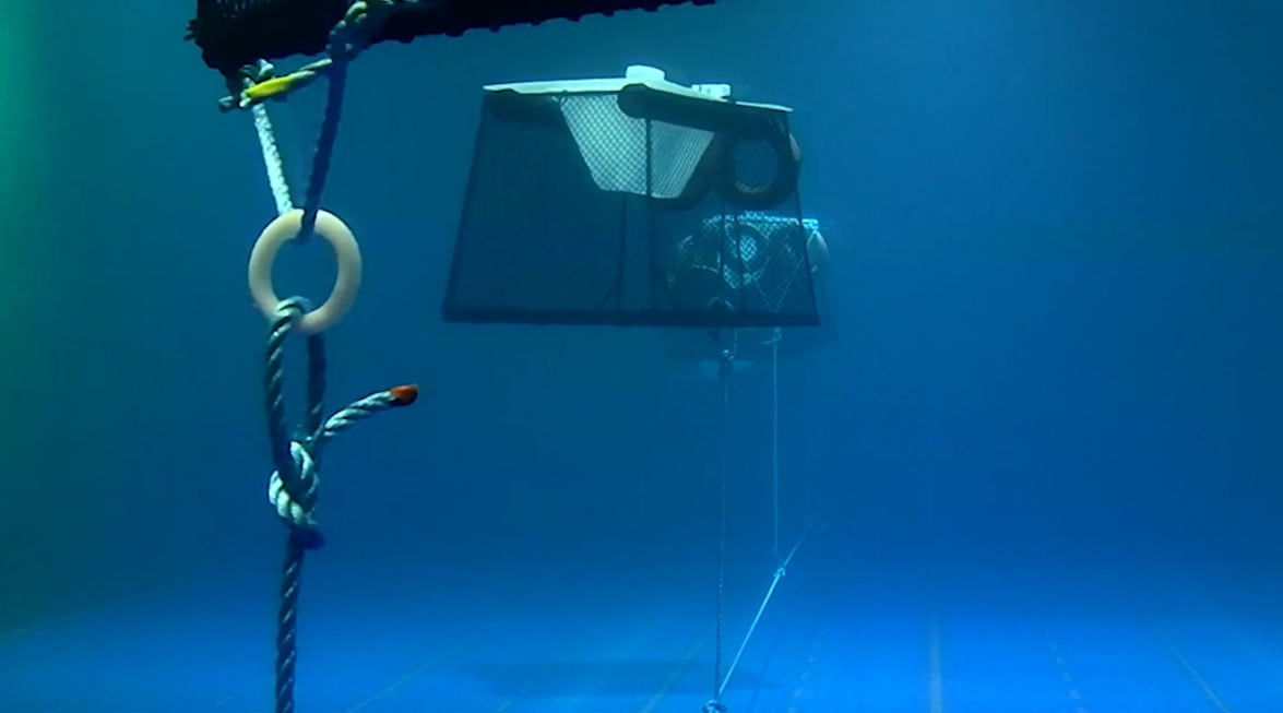 en reketeine under vann