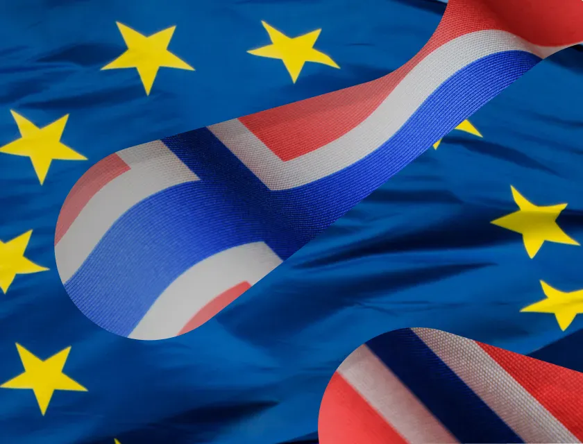 Bilde som viser EU-flagget og det norske flagget i den grafiske profilen til Forskningsrådet.