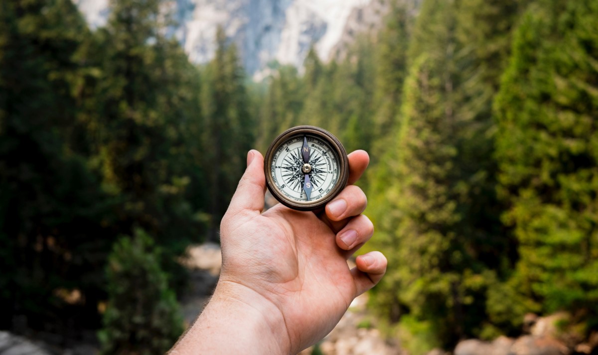 Foto: jamie-street-unsplash. Kompass med skog i bakgrunnen