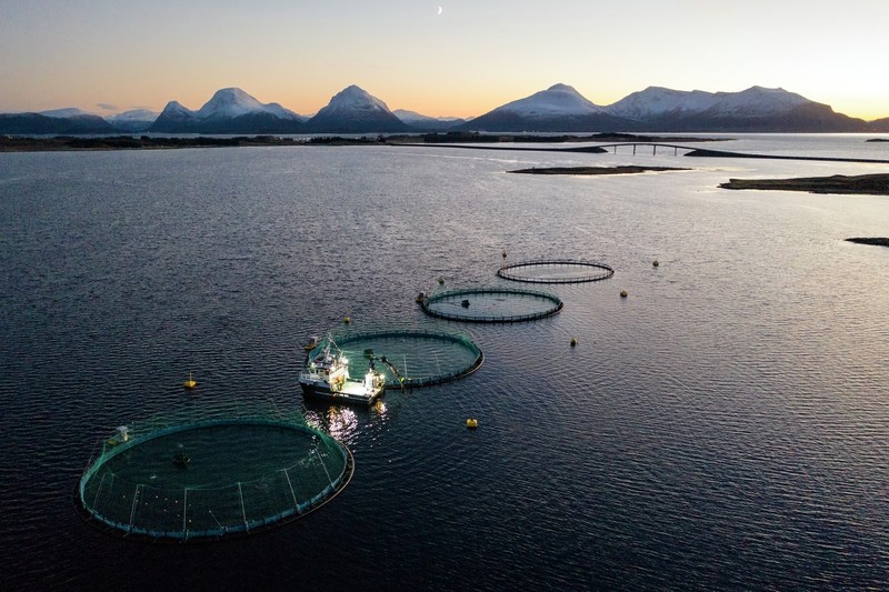 Havbruksanlegg. Foto: Jonas Bendiksen