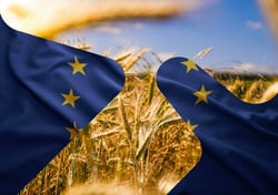 EU flagg kombinert med bilde av kornåker og blå himmel