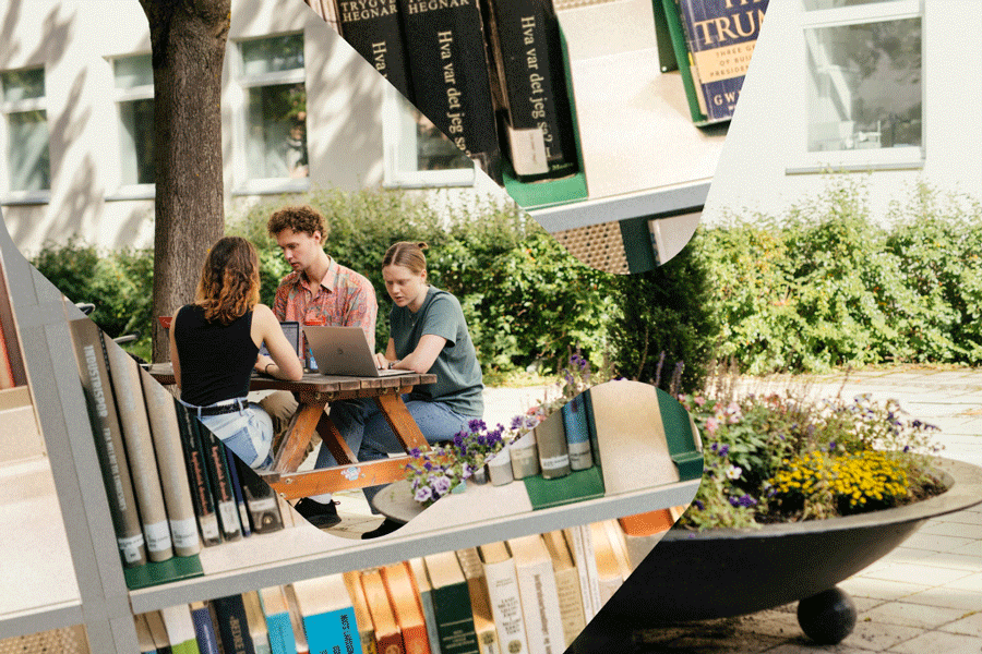Studenter som sitter å jobber på en benk under et tre